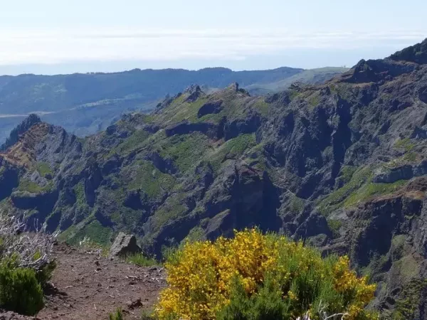 MADÈRE : PICOS, LEVADAS ET CÔTES SAUVAGES