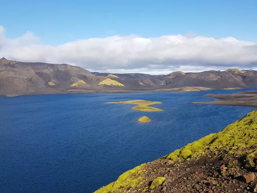 media-library50ndsv90p60h5zytuYm