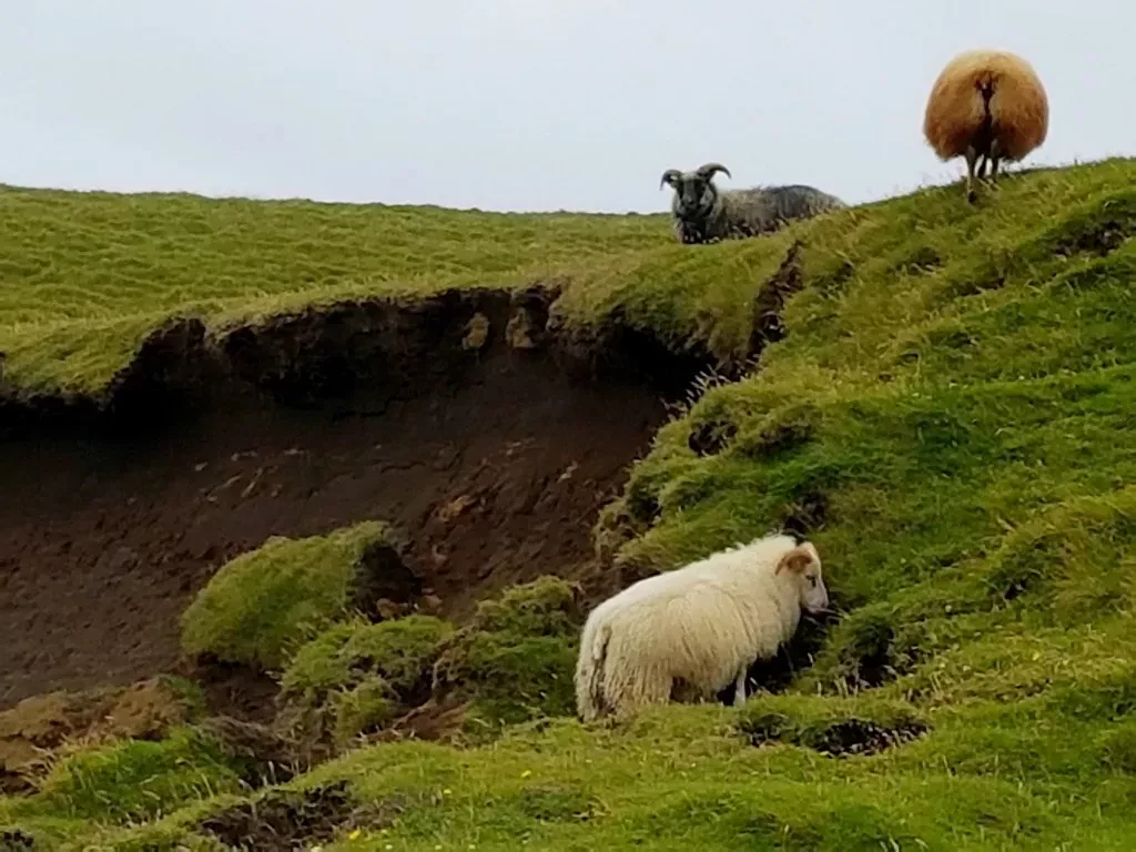 media-libraryj915aoehj7dn1d7Ulzl