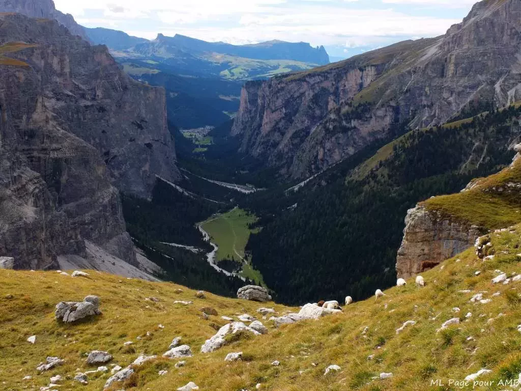 media-library7oib38ts9bv90Ejp5wp