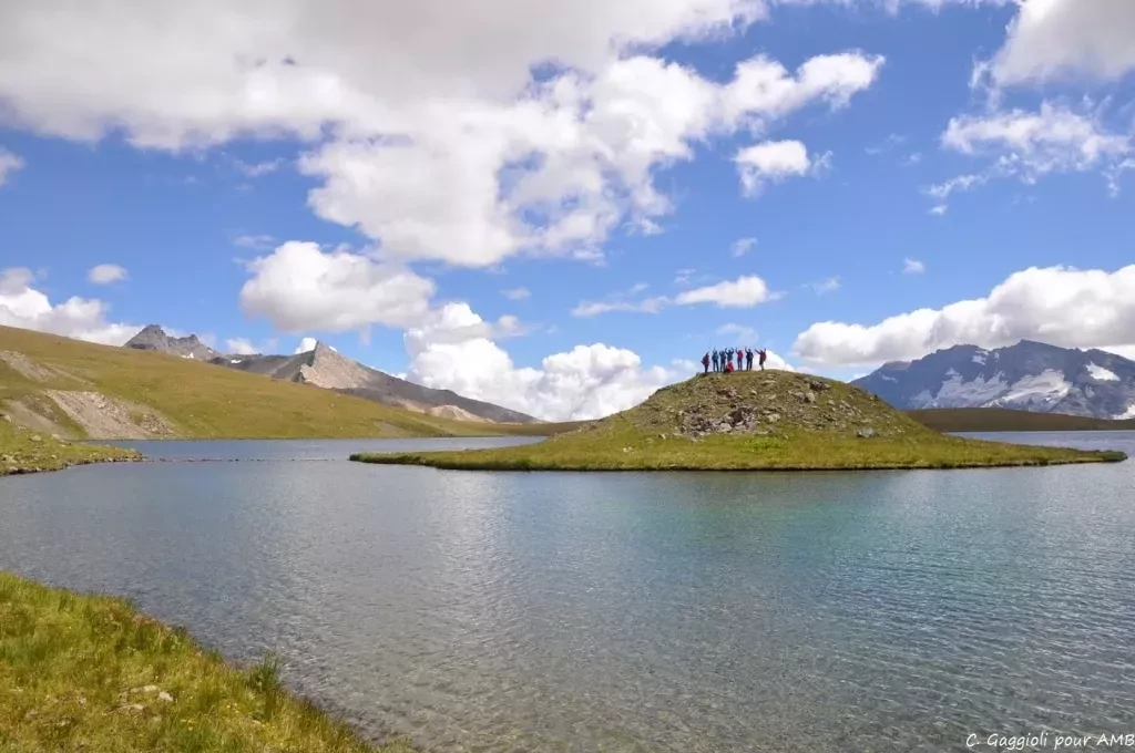 media-libraryk3pr4gr4paqe5kfzfDp