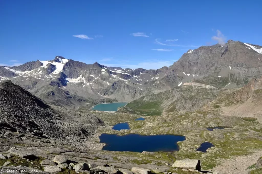 media-libraryf13nefa0fugpfkqgr2l