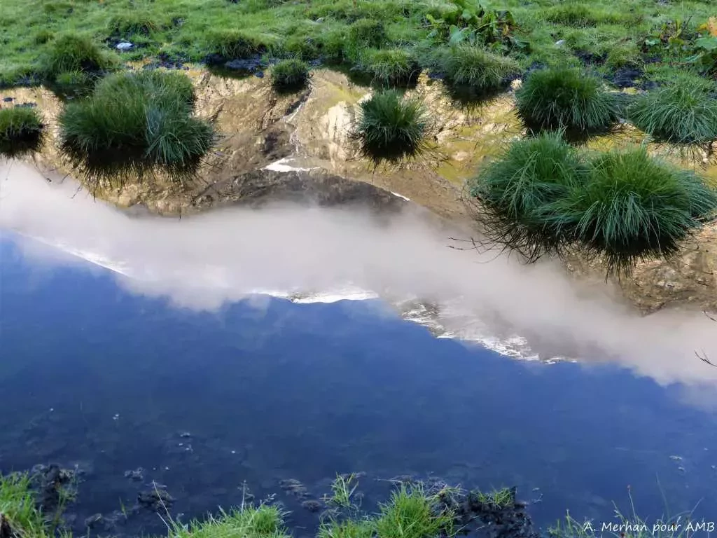 media-librarym1ds7ughoo76blhI9tn