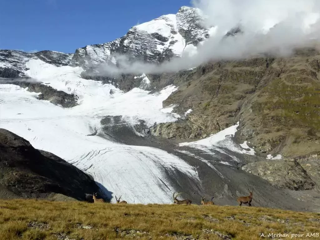 media-library4en33vagjmcp4Inlbym