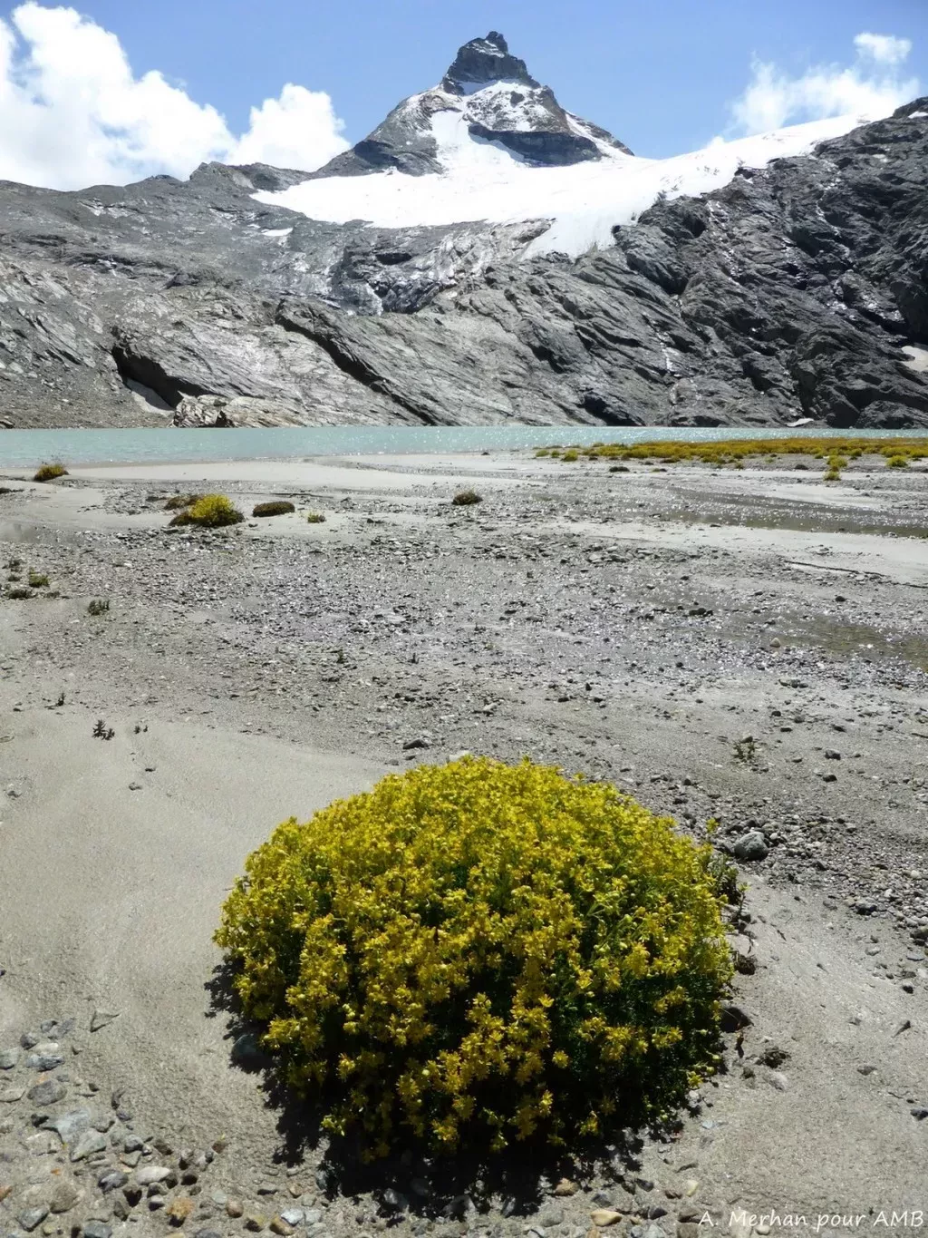 media-libraryk94d0ine77imcbDDjuo