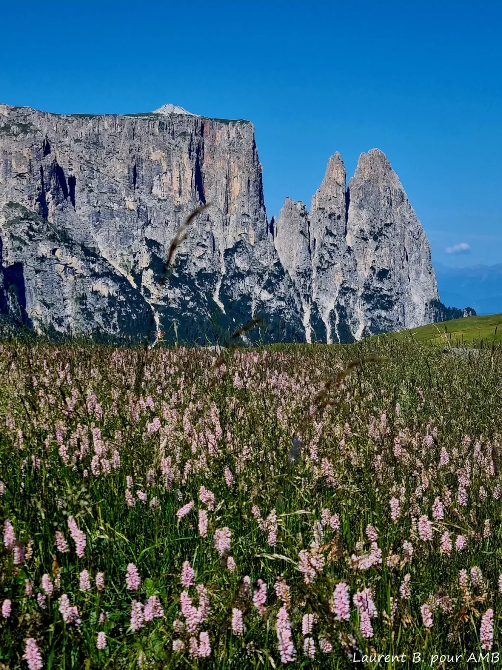 media-library586mb3s7rsl2fcyJ3Km