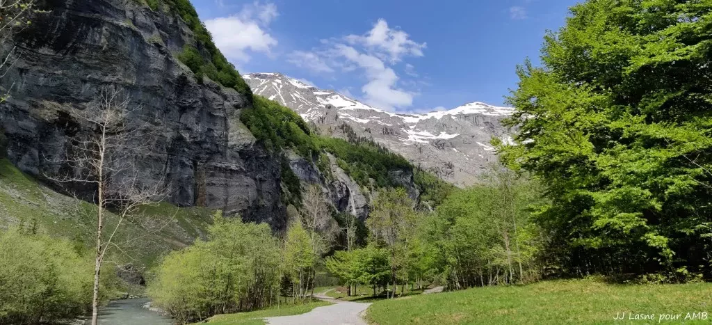 media-library492pkrs2mvqr9FYbuHm