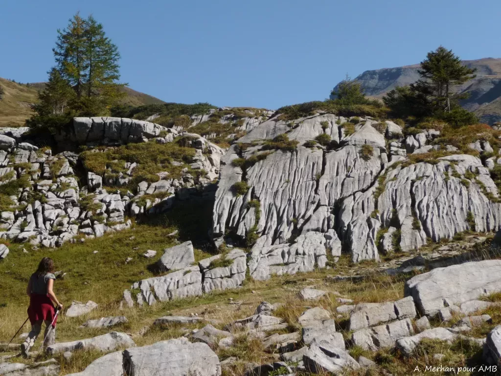 media-library9c98loq4fir0chALvln