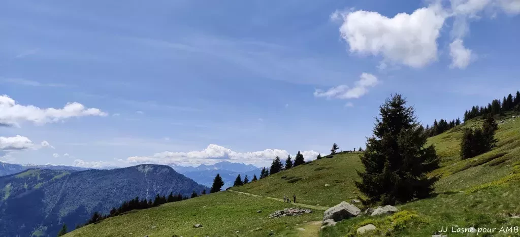 media-librarymprtp823f2nb2M9W71p