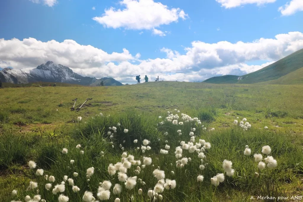 media-library56u719sbof2u0VxQ2cp