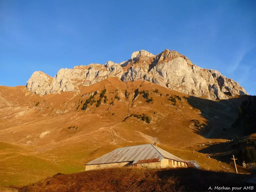 media-librarynai3u633arh3eSEItrm