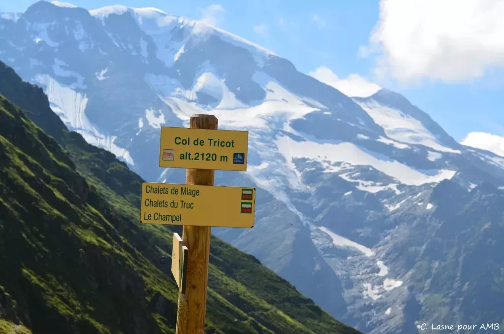 media-libraryc0e0ndfg7nq0681yH6l