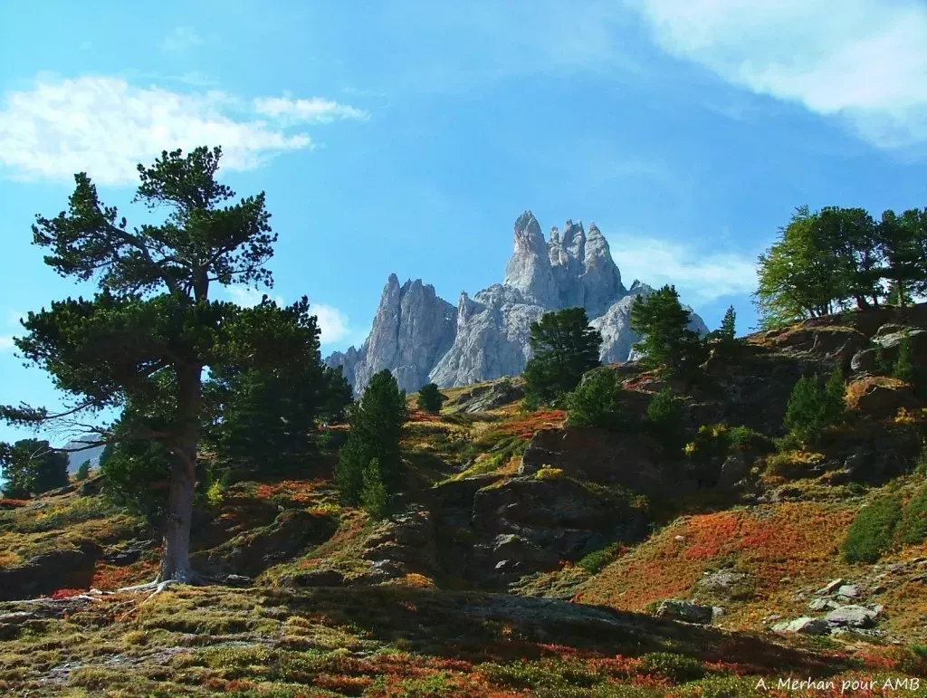 media-librarycdh4a5s0u75c8mlWz2l