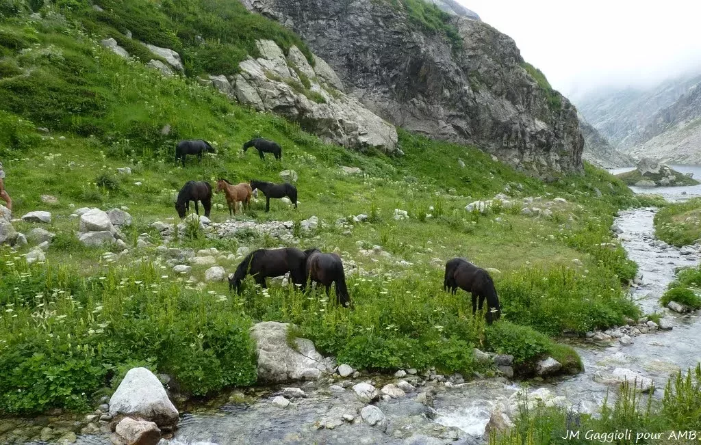 media-libraryb6unok2mg88s02mIs8n