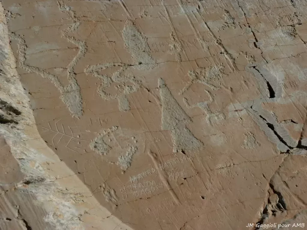 media-librarym5i9mijnqil57sS5cdn