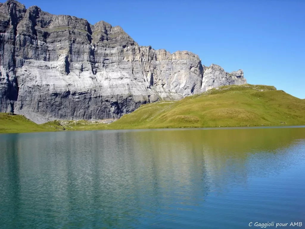 media-library14bfg41u0pc7atZo57l