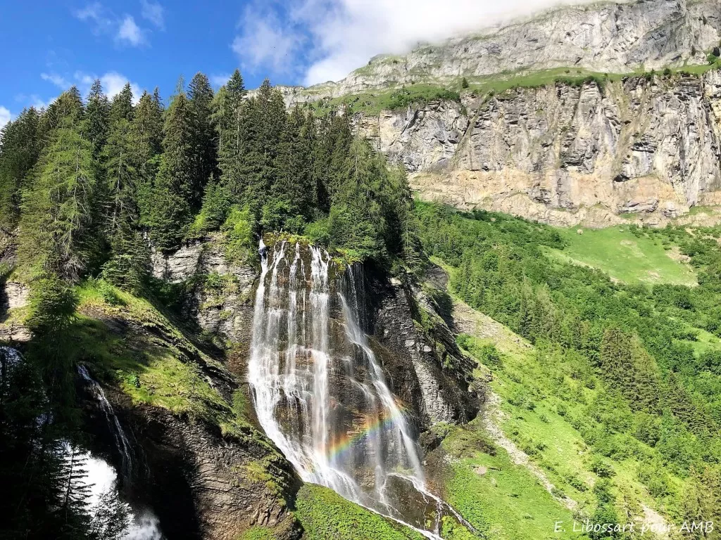 media-librarycnrlshb9suuo0efPoHp