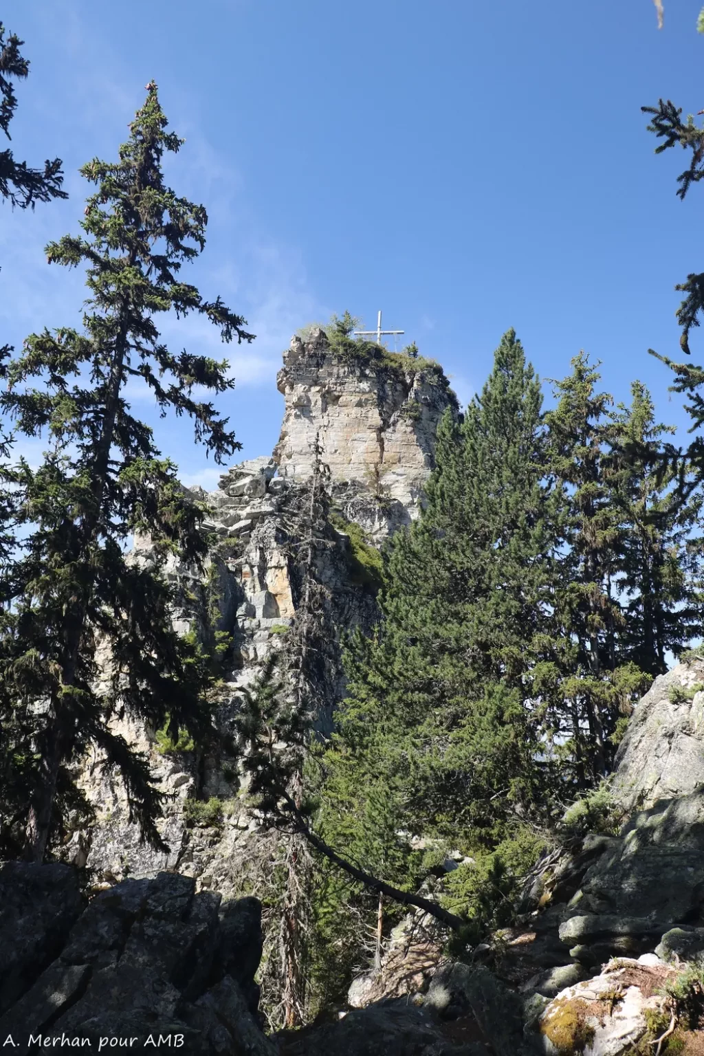 media-library2odifrf2i2eodXELoul