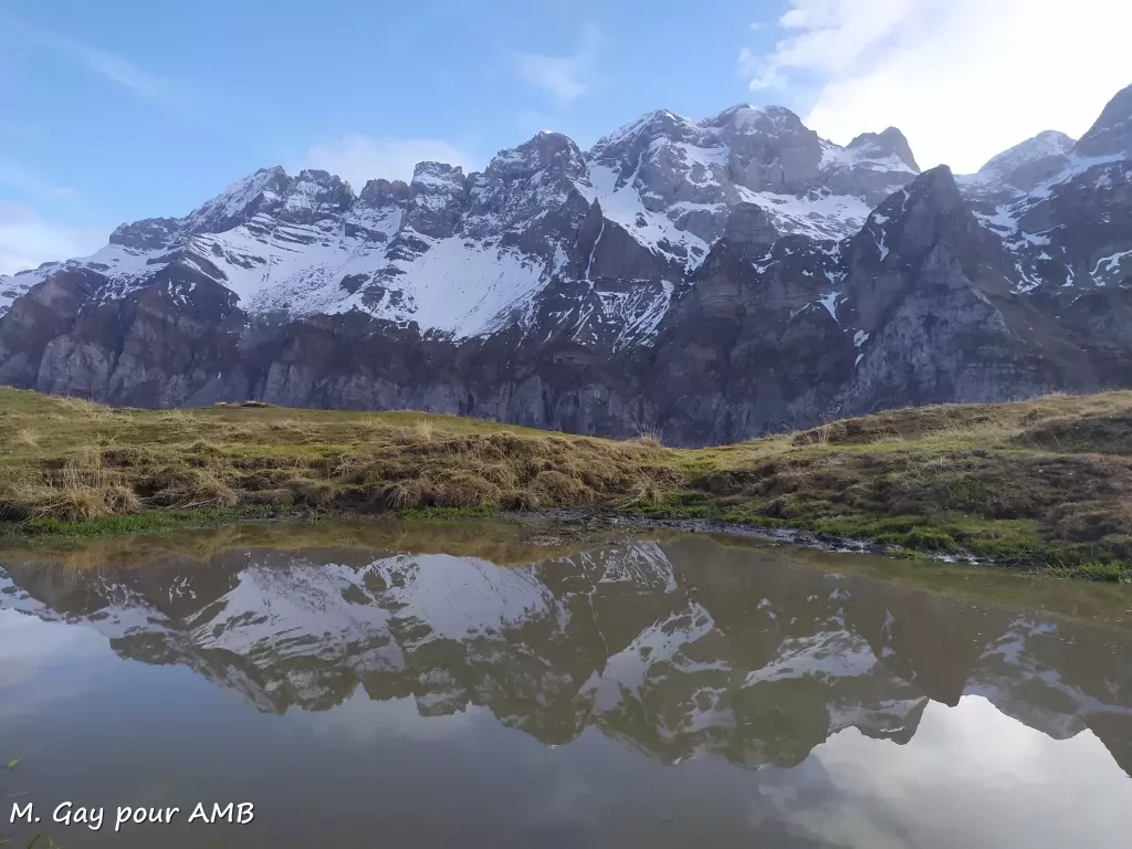 media-libraryu9vo8drv6gd5dRz9p3o