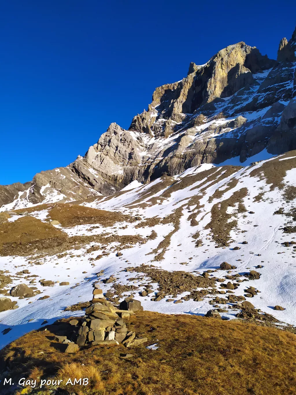 media-library1m5t23ojnlpp3Momg7n