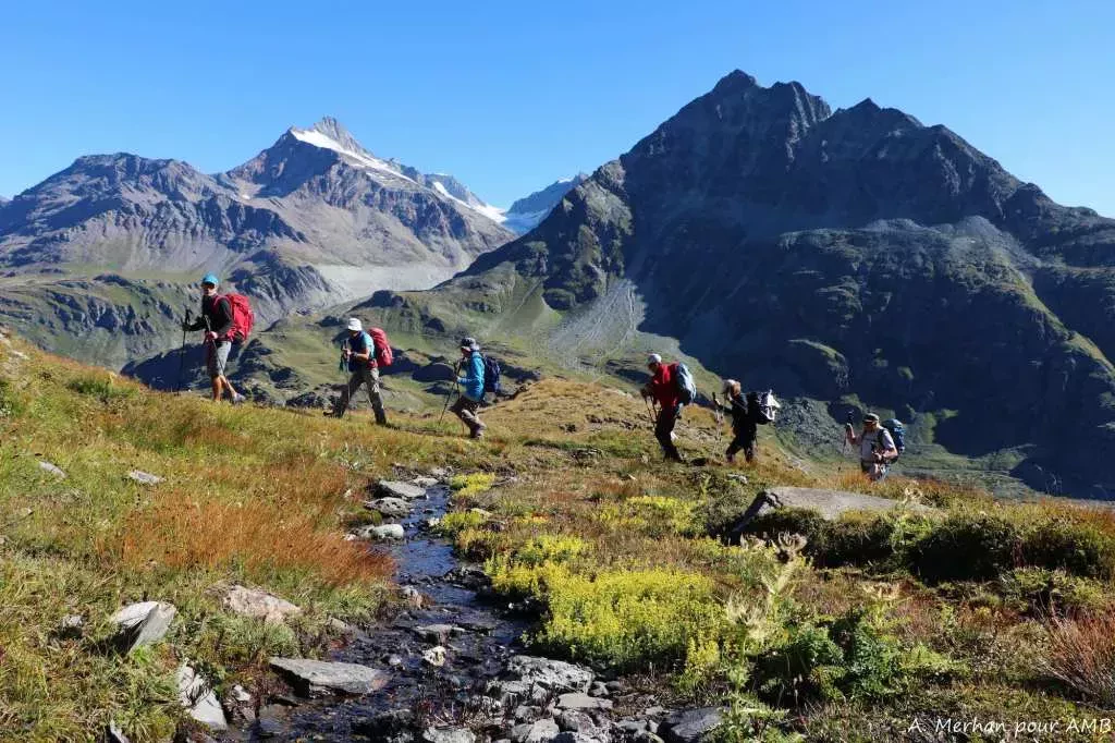 media-libraryak1vdmen9po6bNVkvam