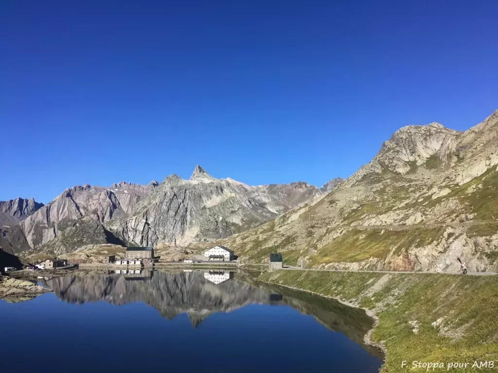 media-libraryicfca0gckqgbdHWG7on