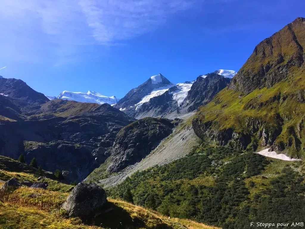 media-library1jnmvrrd9mal6AxV2go