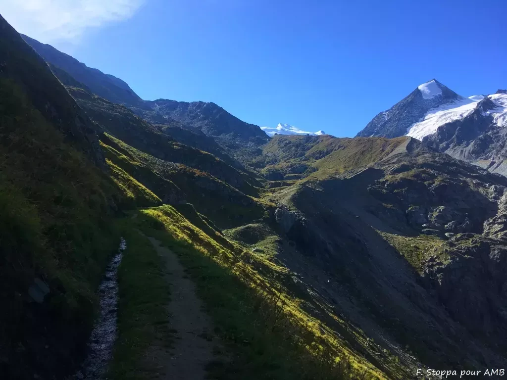 media-librarygv757g49ogrvf2SjnGo