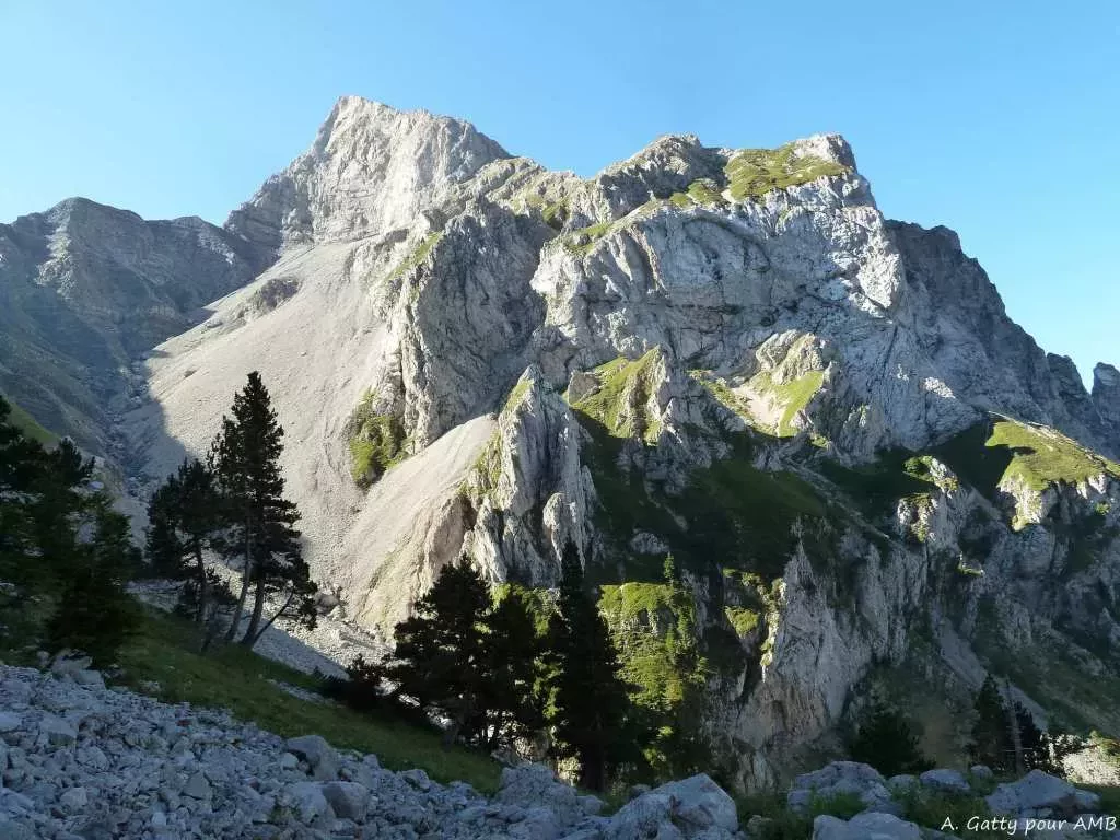 media-library1g71dek7b44e4Ypy7xl