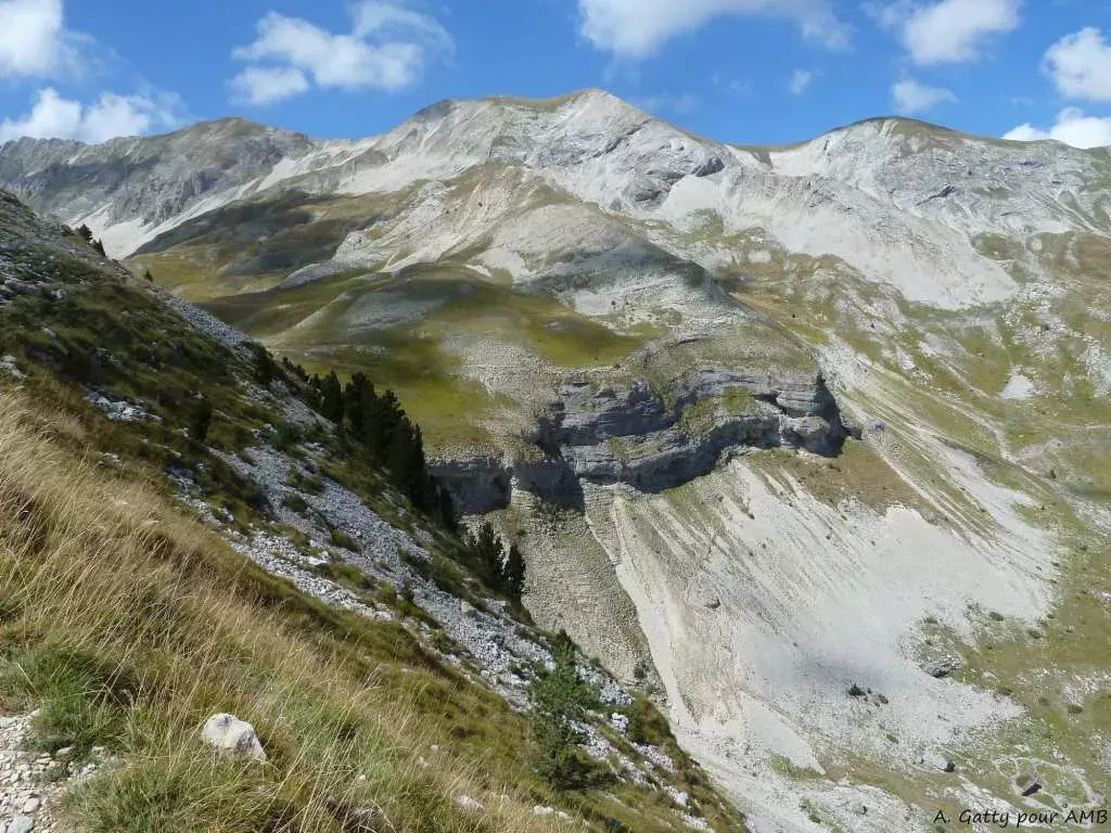 media-library4nkuji1agk1j8vHE7co