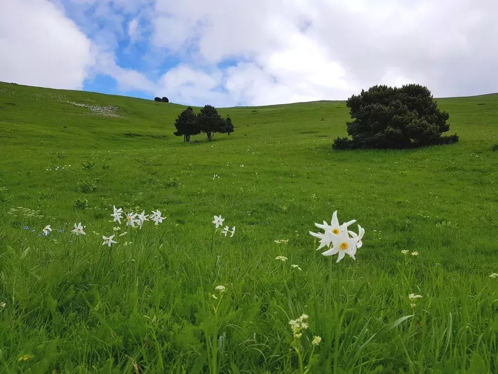 media-libraryvk14gj7nvbapdVizKWl