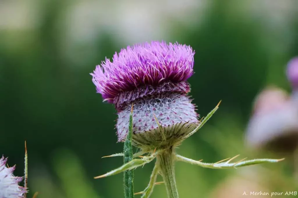 media-library652efka0f43k07UggRn