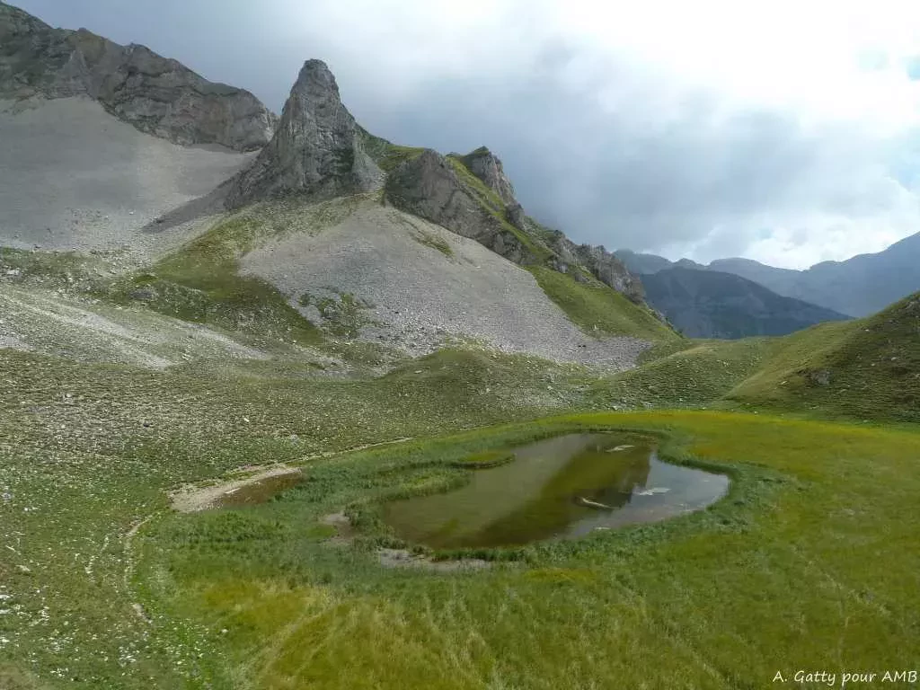 media-librarysglcr6o9idpe2qA5cxm