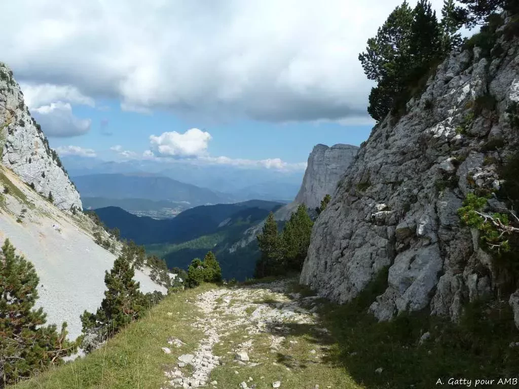 media-library5uud6lkbrbkvd3TkDJo