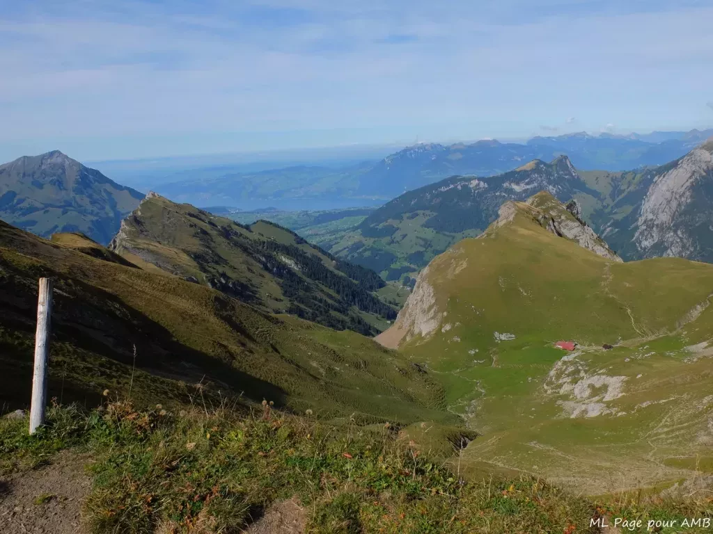 media-library8gr33a084kb4aMqGmEo