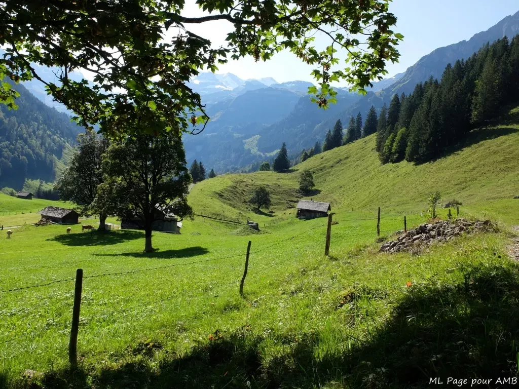 media-librarythfdpopbfakg1YxxvGn