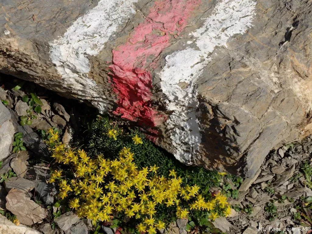 media-librarybc2c86nmmjsl80zl0Oo