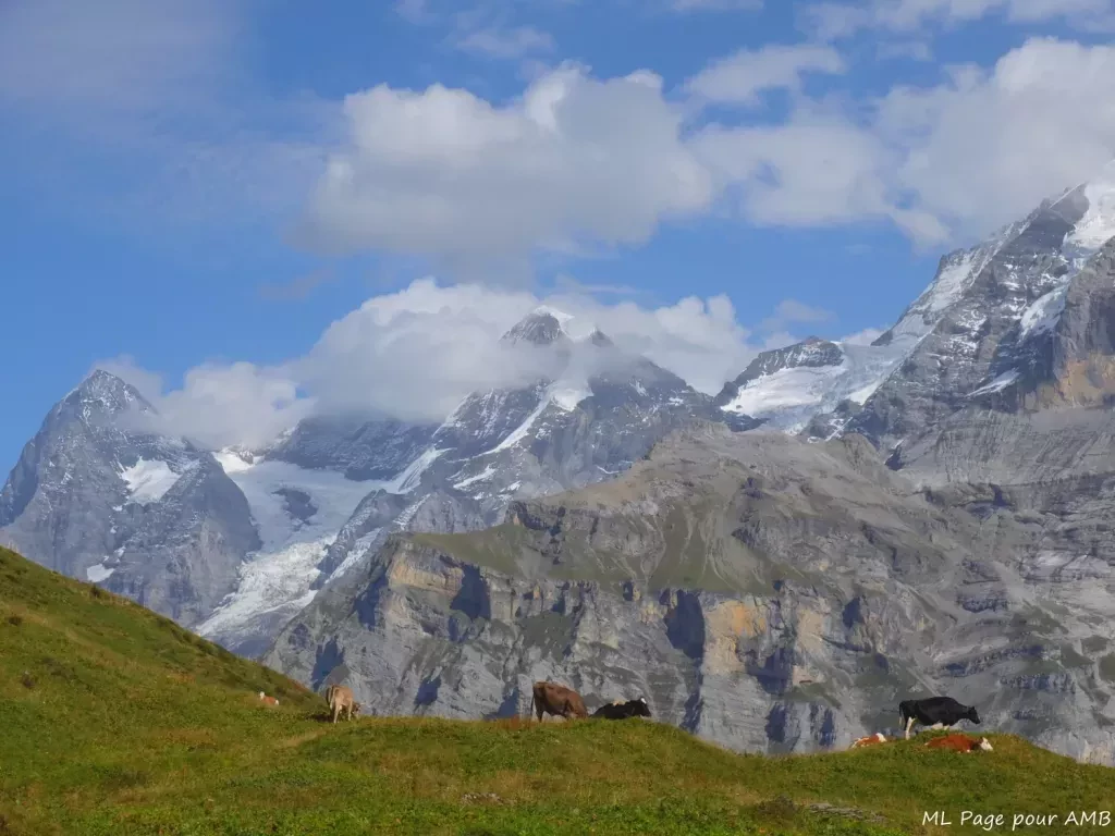 media-librarya07vhjm1923oelT5Z0m