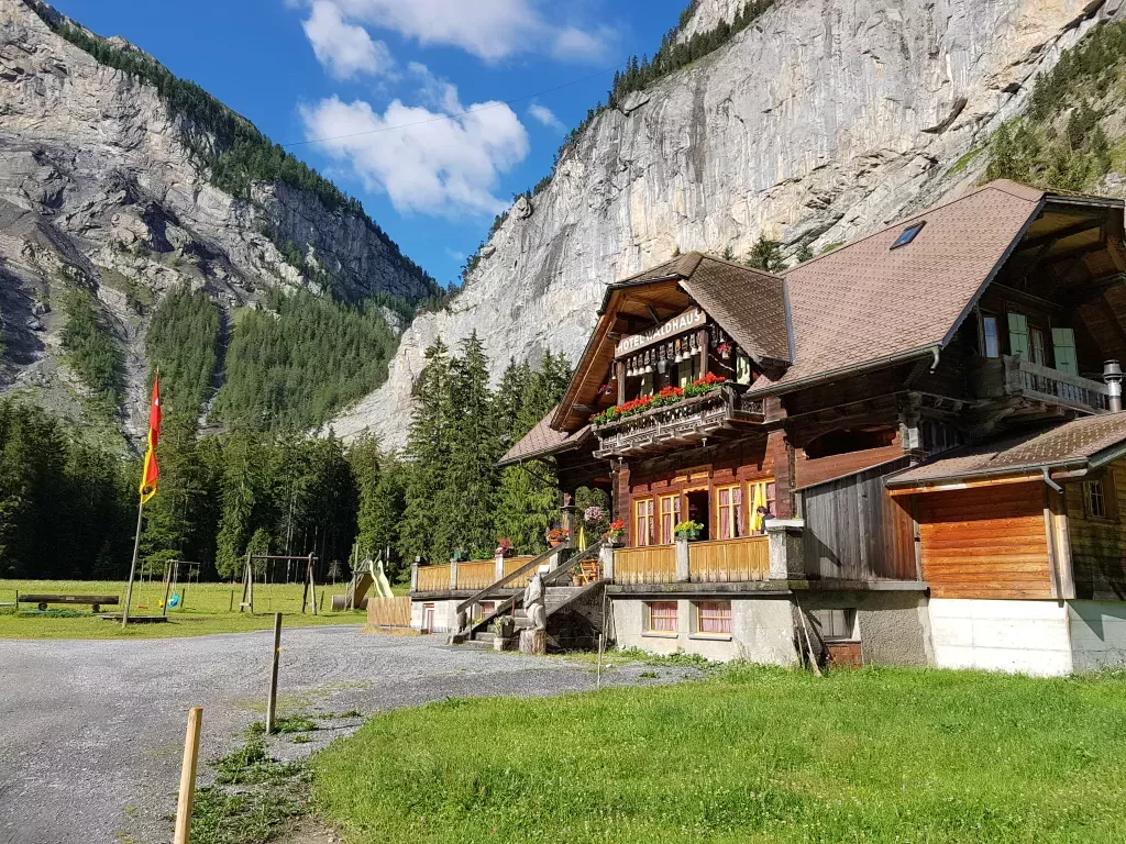 media-library24d8prsdrqdp4ZRRelm