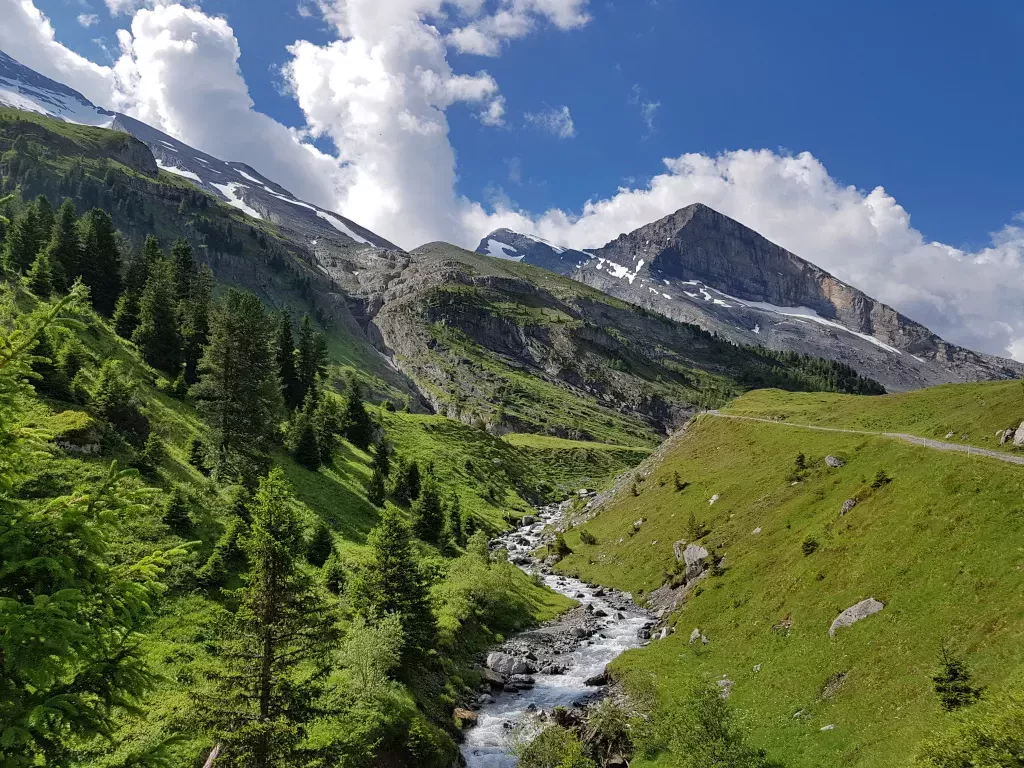 media-library09k3ecms1og86Rhmump