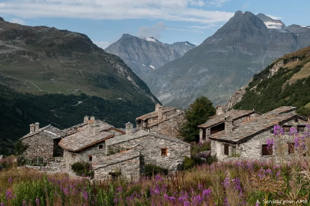 media-libraryhpn9alot0a3s5KrVn6o