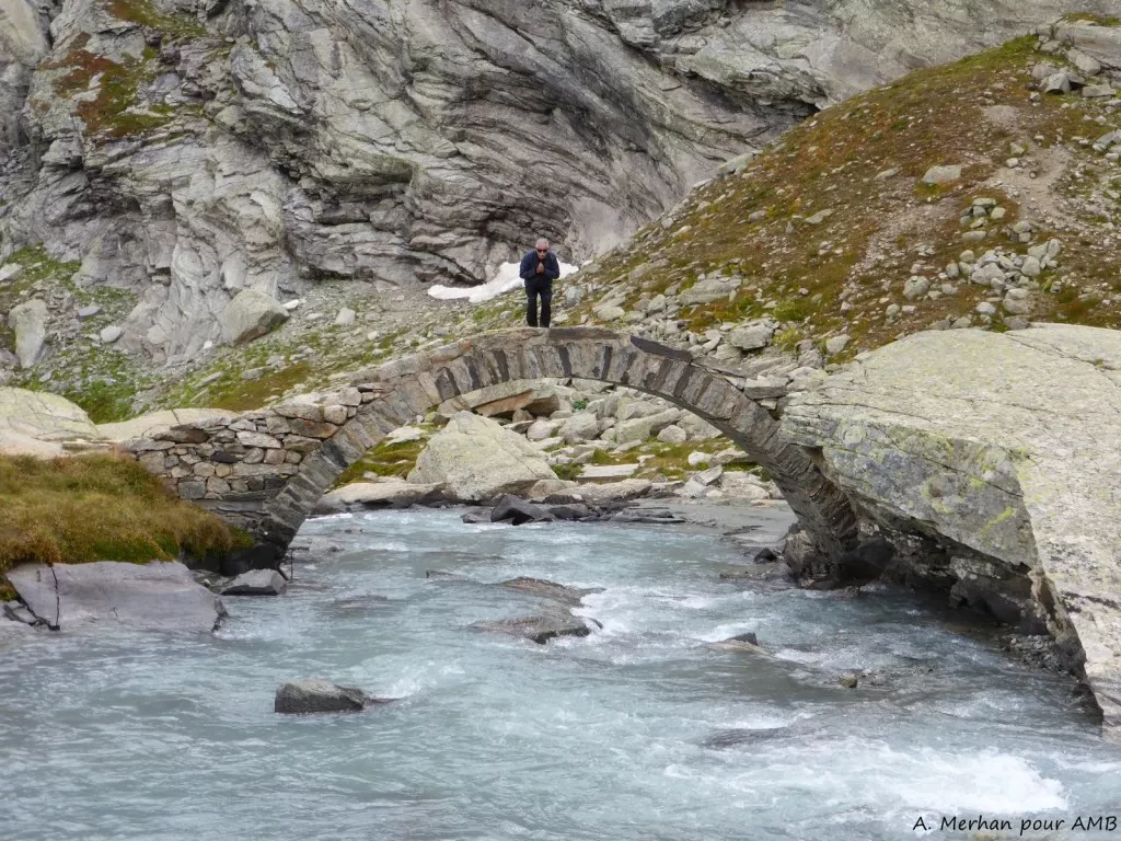 media-libraryqiehtnekn7so8WCpidm