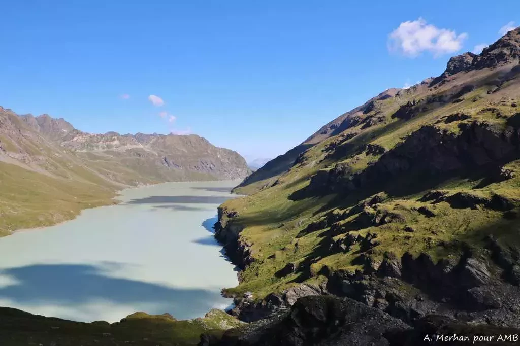 media-librarygp8l7nid0f5l31zMFxo