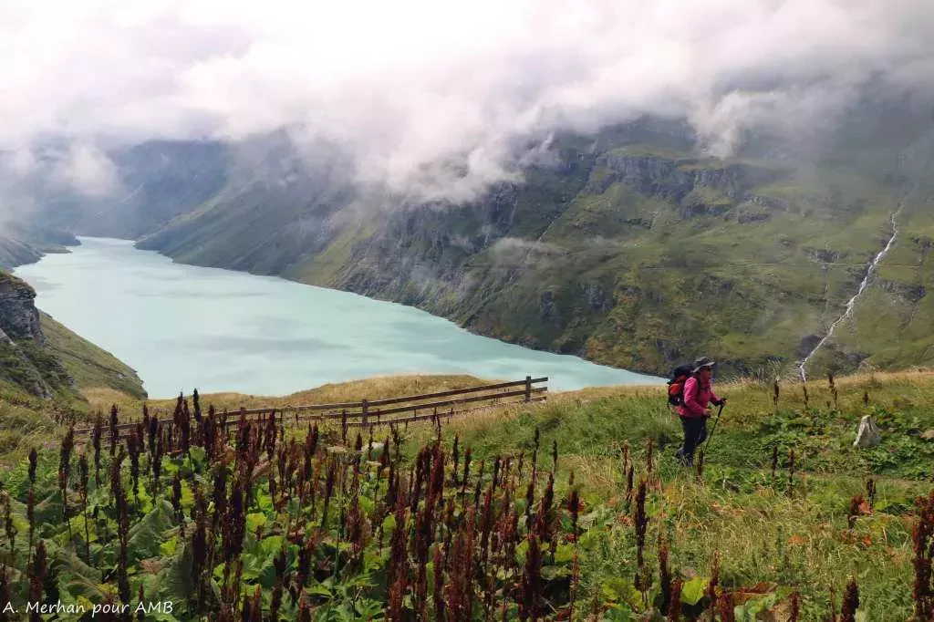 media-library4k4mject6p316TkQkkp