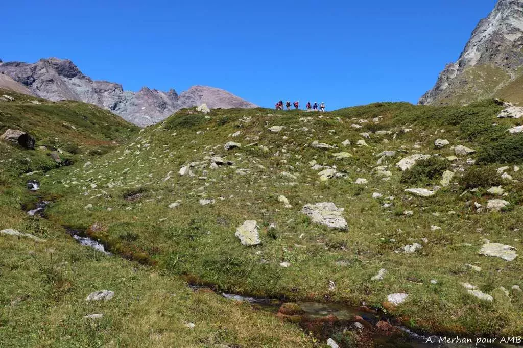 media-librarylmsafsj1j59k2z4iaio