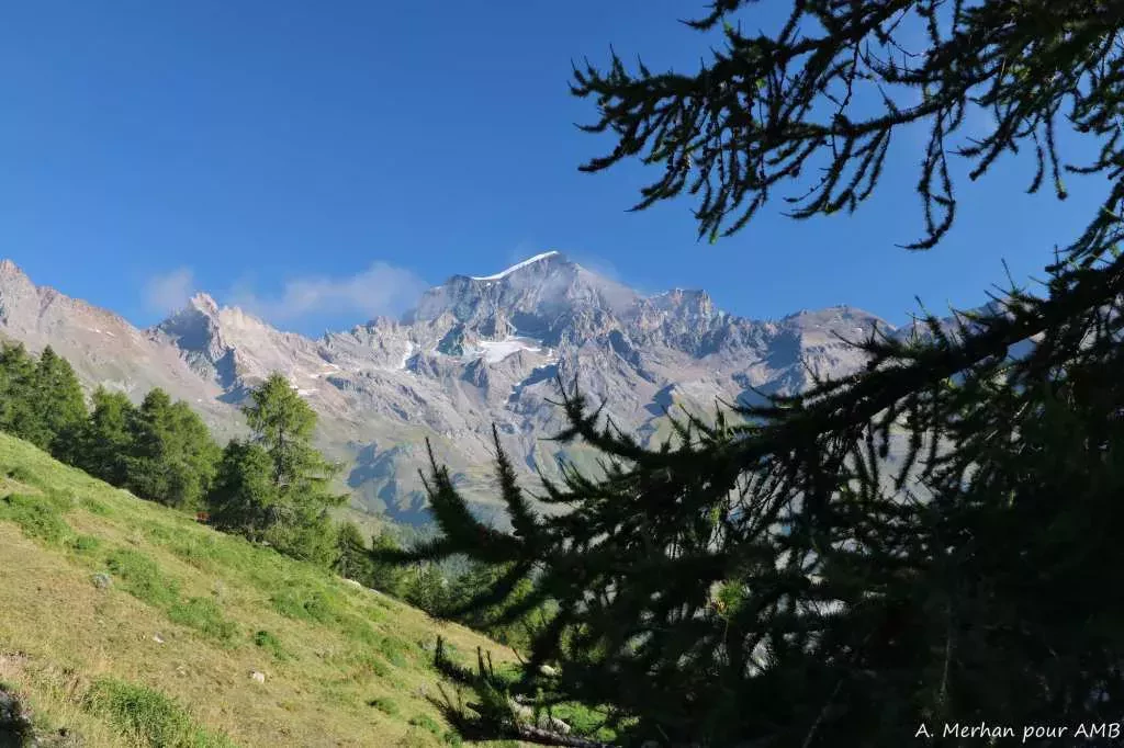 media-library52fi12cfn7dl7xyNCrp