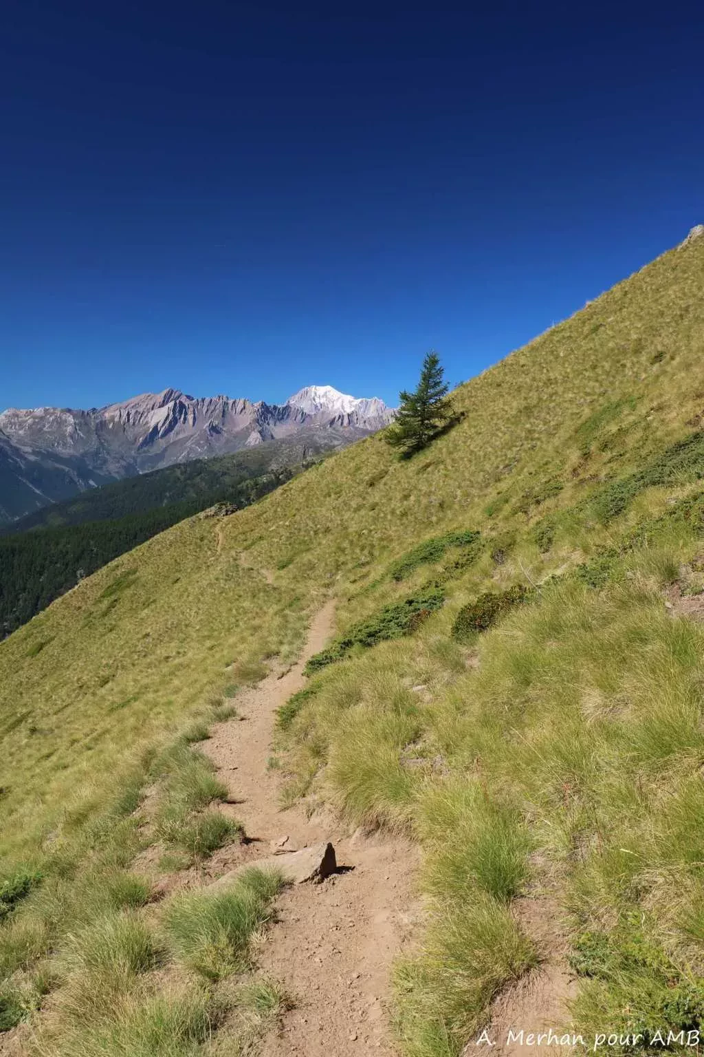 media-libraryeag8ifao2ufs5WtvrYn