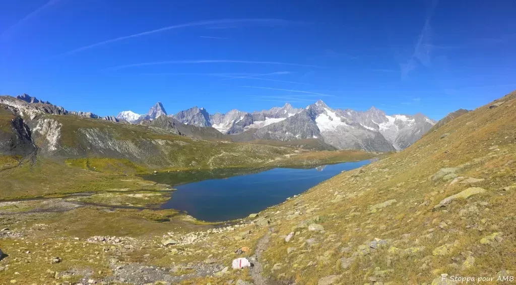 media-libraryd6j6n0apml8aaBFECpm