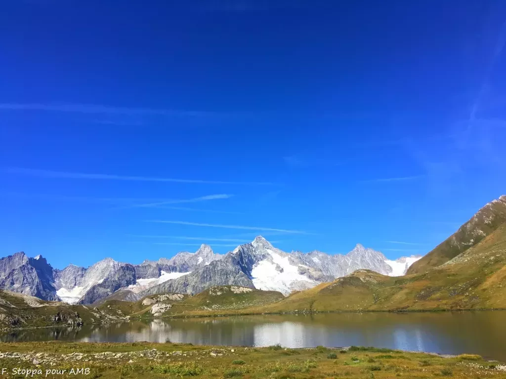 media-libraryi2va1ppd1gtg2pIrtMp