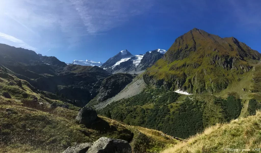 media-libraryumq60p9jkim73SkxBXo